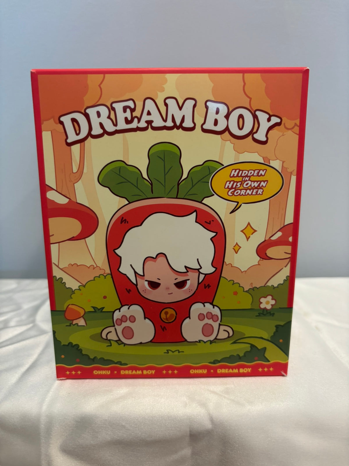 Dreame Dream Boy Hidden In His Own Corner Blind Box
