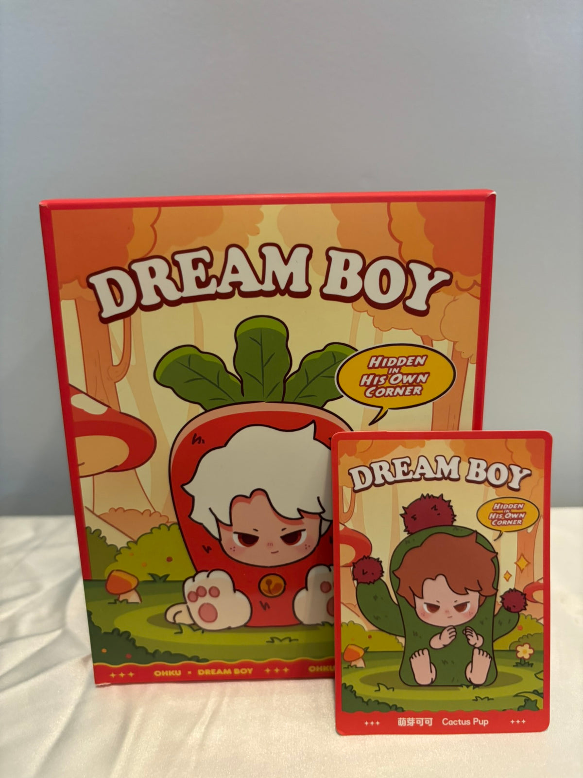Dreame Dream Boy Hidden In His Own Corner Blind Box
