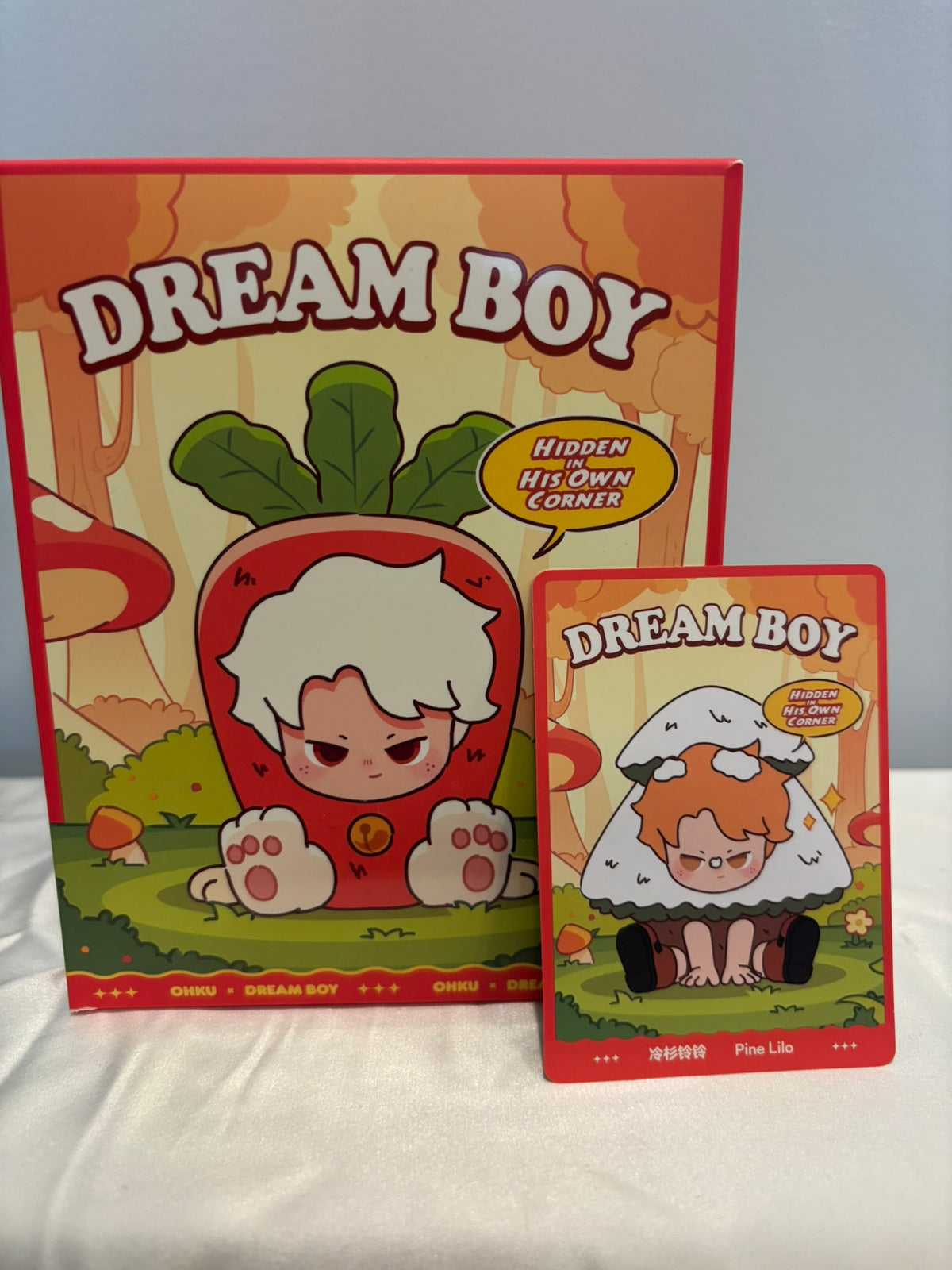 Dreame Dream Boy Hidden In His Own Corner Blind Box