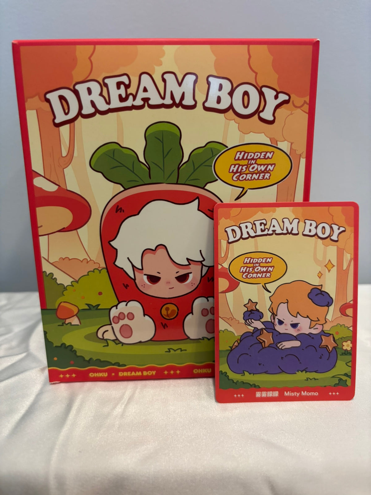 Dreame Dream Boy Hidden In His Own Corner Blind Box