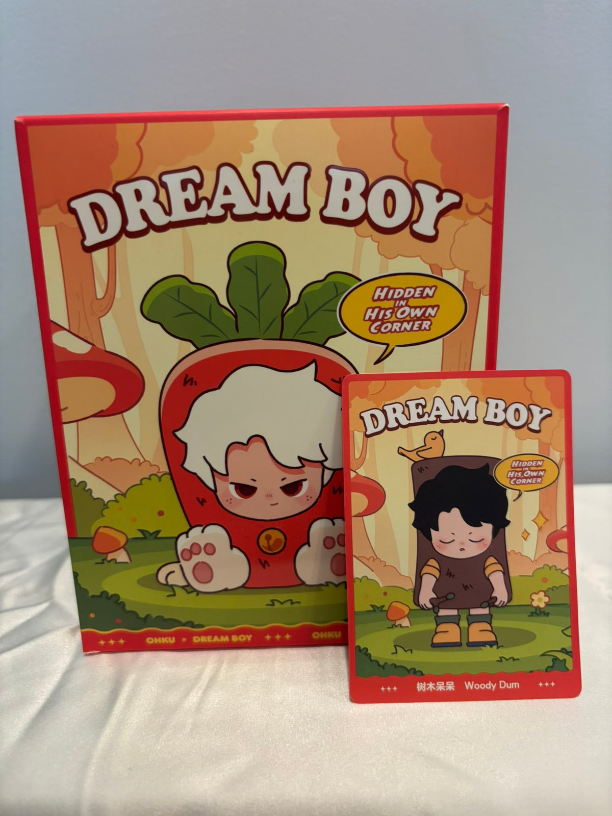 Dreame Dream Boy Hidden In His Own Corner Blind Box