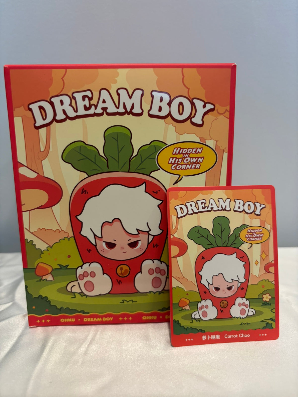 Dreame Dream Boy Hidden In His Own Corner Blind Box