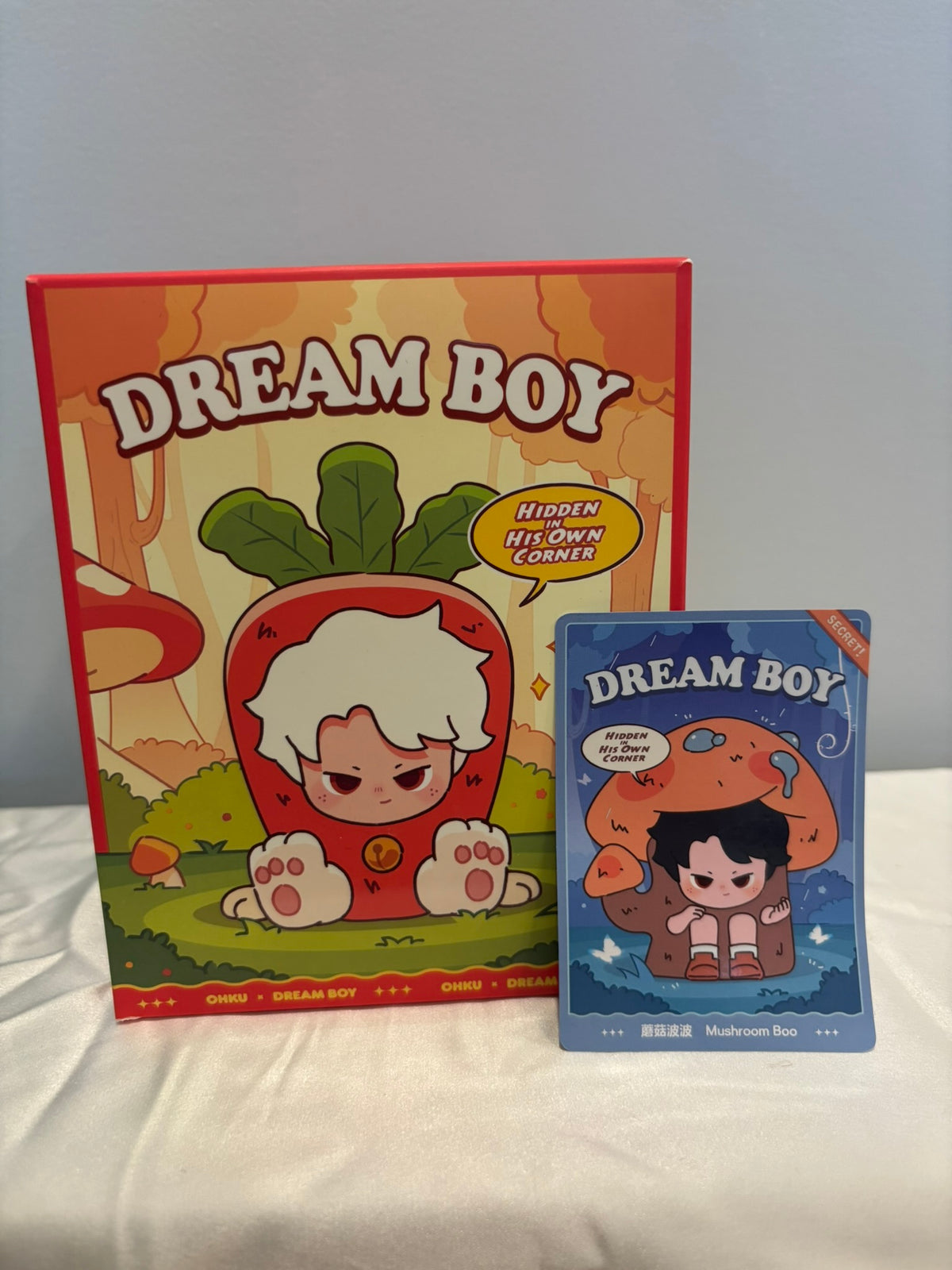Dreame Dream Boy Hidden In His Own Corner Blind Box